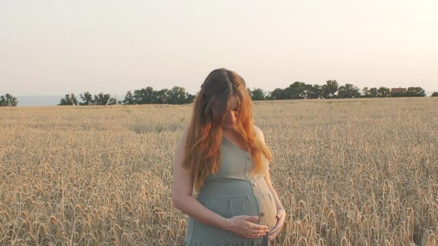 Pregnant happy red-haired woman touching her belly, future young mother walking an sunset on wheat field enjoying rural nature. Healthy pregnancy concept, camera goes from top to bottom