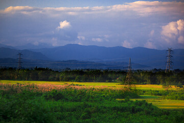 sun shining over the field. 