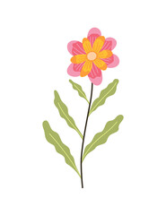 Obraz na płótnie Canvas Spring flower. Botanical floral icon design. Garden plant on white background. Colorful flat vector illustration. Good decoration for wedding invitation or scrapbook