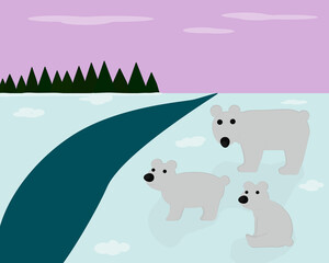 polar bears illustration