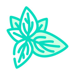 basil leaves color icon vector. basil leaves sign. isolated symbol illustration