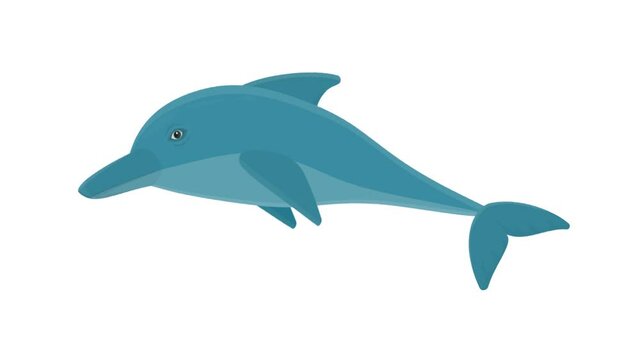 Dolphin. Animation of a marine animal dolphin, the alpha channel is turned on. Cartoon