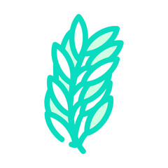 rosemary leaves color icon vector. rosemary leaves sign. isolated symbol illustration