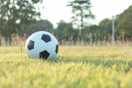 A soccer ball on the grass that hits the sun