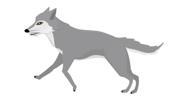 Wolf. Animation of an animal wolf, the alpha channel is enabled. Cartoon