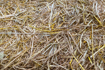 close up image of haystack at agriculture farm , farming symbol of harvest ,