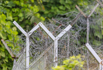 Barbed wire on the fence.