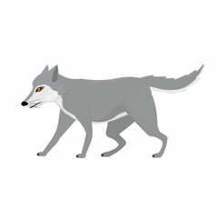 Wolf. Animal wolf, vector illustration