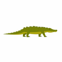 Crocodile. Crocodile animal, vector illustration