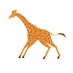 Giraffe. Animal giraffe, vector illustration