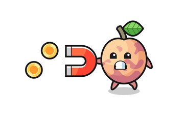 the character of pluot fruit hold a magnet to catch the gold coins