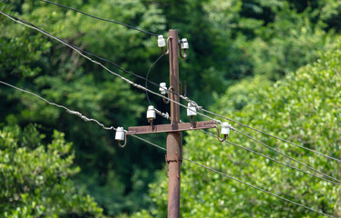 Pole with electric wires in  park.