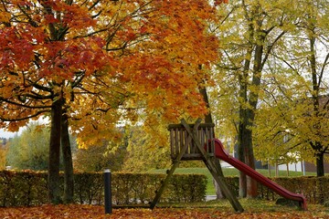 Autumn scene in a park. There are trees with colorful foliage, low hedge and slide for children....