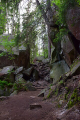 Passage with a trail between large rocky stone boulders covered with green moss and grass in the forest