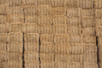 texture bottom freshly cut straw wheat