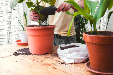 Filling a pot with soil on top of a wooden table. Home gardening concept