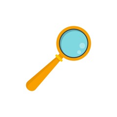 Repair magnifier icon flat isolated vector