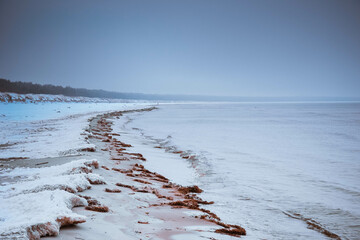 Zamarznięta plaża morza Bałtyckiego - obrazy, fototapety, plakaty
