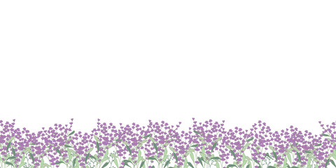 Lavender field frame border seamless pattern.Beautiful violet lavender flowers on transparent background. Vector illustration. Great for textile, card design.