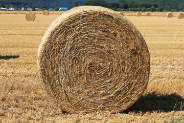 小麦ロール　小麦　ロール　麦稈ロール　収穫