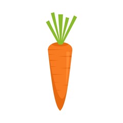 Vegetable carrot icon flat isolated vector