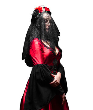 
Isolated photo of mysterious woman (sorceress or witch or gothic bride) in red gothic dress, black veil and crown with skull and roses, side view. Halloween concept.