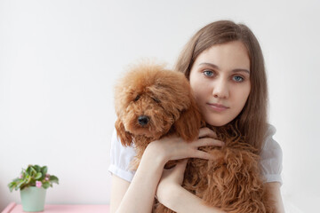 A girl with blue eyes and brown hair holds a miniature shaggy poodle red brown in her arms and hugs her