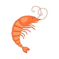 Shrimp on white background cartoon character flat