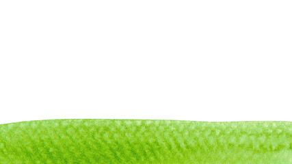 watercolor brush stain horizontal green color on white for banner watercolour background, copy space