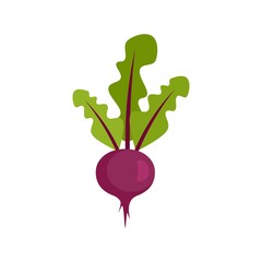 Farm beet icon flat isolated vector