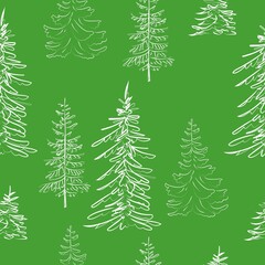 Elegant outline drawing of pine tree seamless pattern. Vector illustration. 