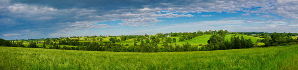 Rich, verdant, green rolling agricultural fields near Markethill in County Armagh in Northern Ireland, UK. A panoramic view taken on a sunny day in summer with light clouds. - obrazy, fototapety, plakaty