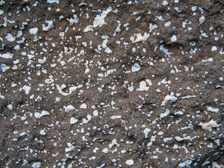 A close up of amygdaloidal basalt on the coast of Northern Ireland, UK. White zeolites show in the black basalt.