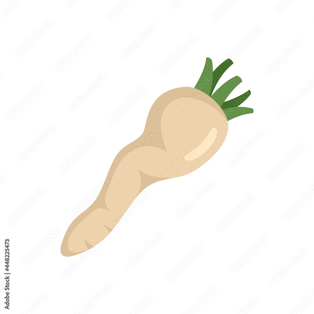 Poster cooking parsnip icon flat isolated vector