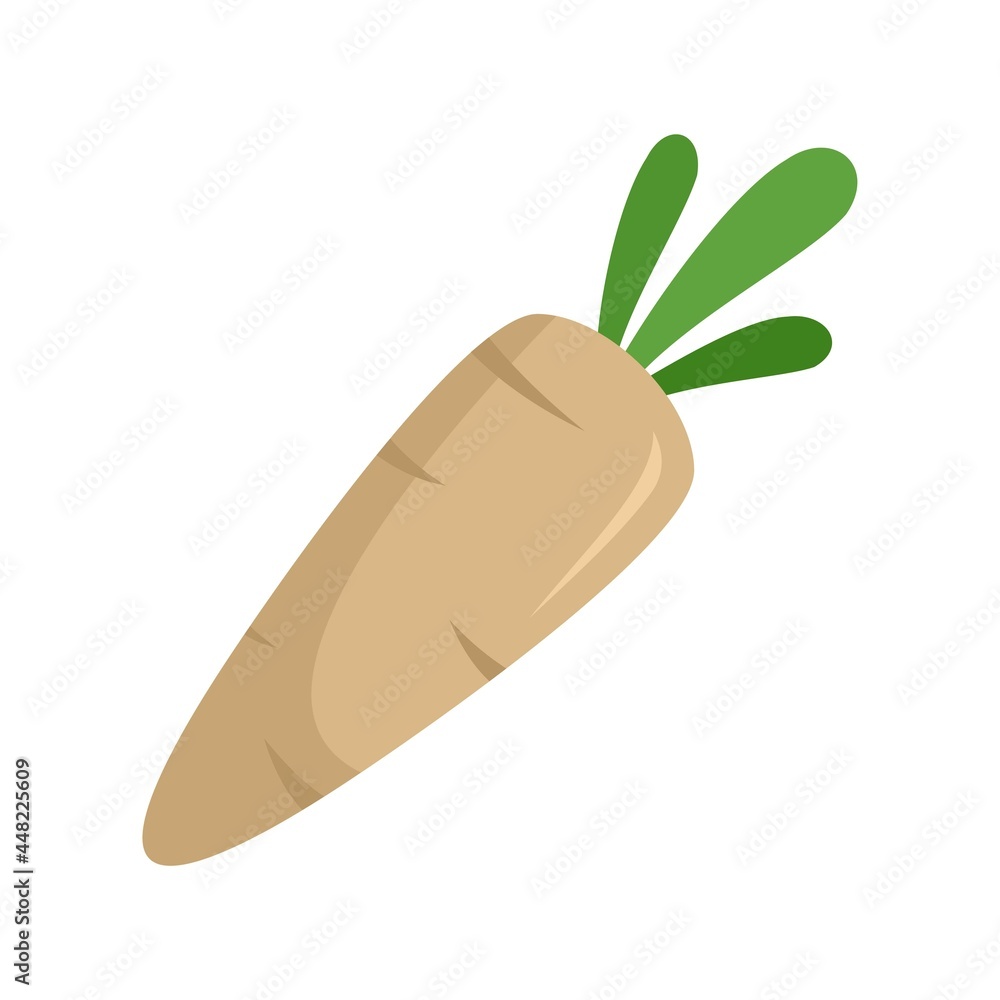 Poster eco parsnip icon flat isolated vector