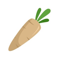 Eco parsnip icon flat isolated vector