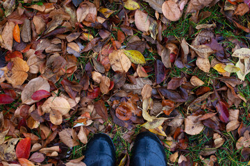 Top view of feet in rubber shoes on background of withered, fallen brown autumn leaves with copy space. 