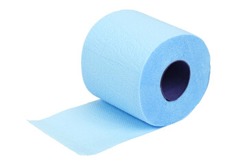 Roll of coiled blue toilet paper
