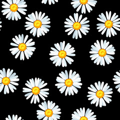 Daisy flower seamless vector pattern - 448226060