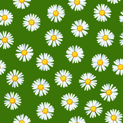 Daisy flower seamless vector pattern - 448226062