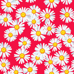 Daisy flower seamless vector pattern - 448226078