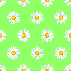 Daisy flower seamless vector pattern - 448226487