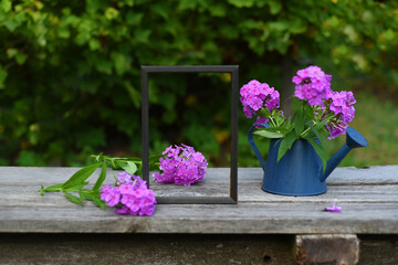 A bouquet of lilac phlox in a decorative watering can stands on a wooden table in the garden. Bokeh background.