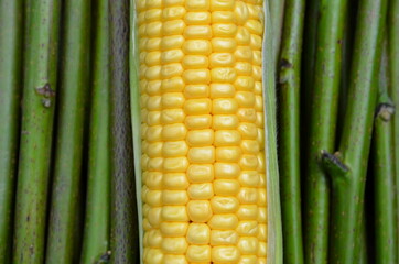 Kachan of corn lies on nut twigs.