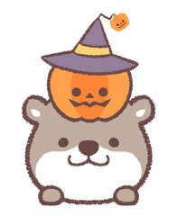 カワウソとハロウィンのカボチャ