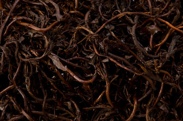 ひじき（沖縄県産）