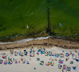 Morze i piaszczysta plaża z opalającymi i kąpiącymi się plażowiczami w miejscowości Sarbinowo, widok z lotu ptaka - obrazy, fototapety, plakaty
