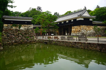 Fototapeta na wymiar Moat of Kochi Castle in Kochi, Japan - 日本 高知県 高知城 お堀