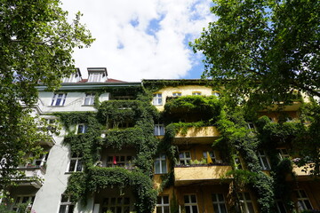 Grün bewachsene Häuser in Berlin