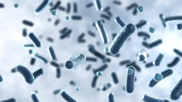 Microorganism cells floating inside human body under microscope, 3d rendering Bacteria organisms biological scientific background, salmonella disease